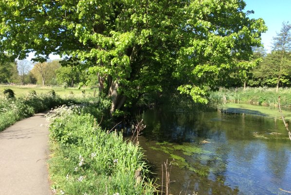 The River Slea Flood Resilience Project 